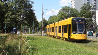 Dresden |  Alstom NGT DX DD